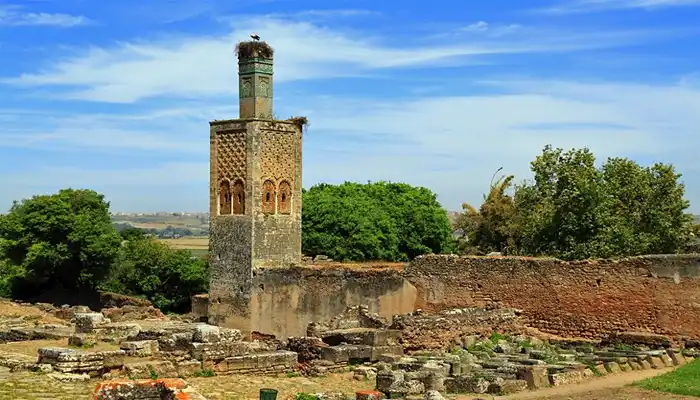 View of the Chellah archaeological site in Rabat, Morocco, featuring ancient Roman and Islamic ruins surrounded by lush greenery.