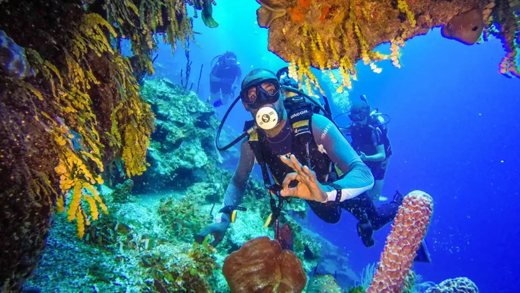 Diving and Snorkeling