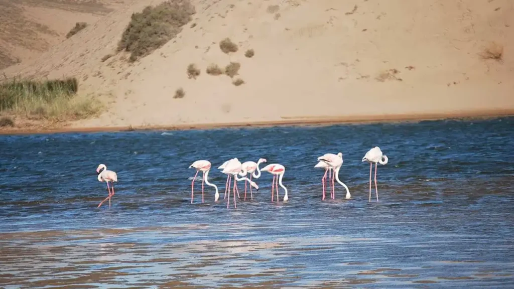 Souss-Massa National Park