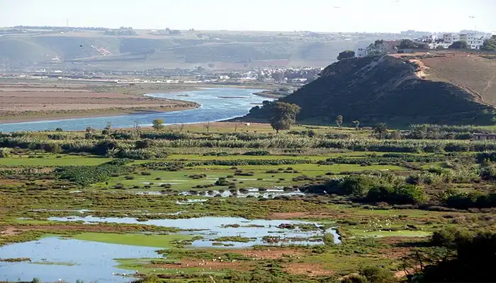 Bou Regreg Valley in Rabat, Morocco, a scenic area with lush wetlands and a tranquil river, popular for birdwatching and eco-tourism activities.