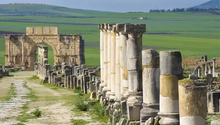 Intricate Roman mosaics and ancient stone structures at the archaeological site of Volubilis in Morocco.