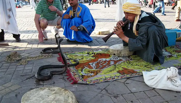 Jemaa el-Fnaa square performers