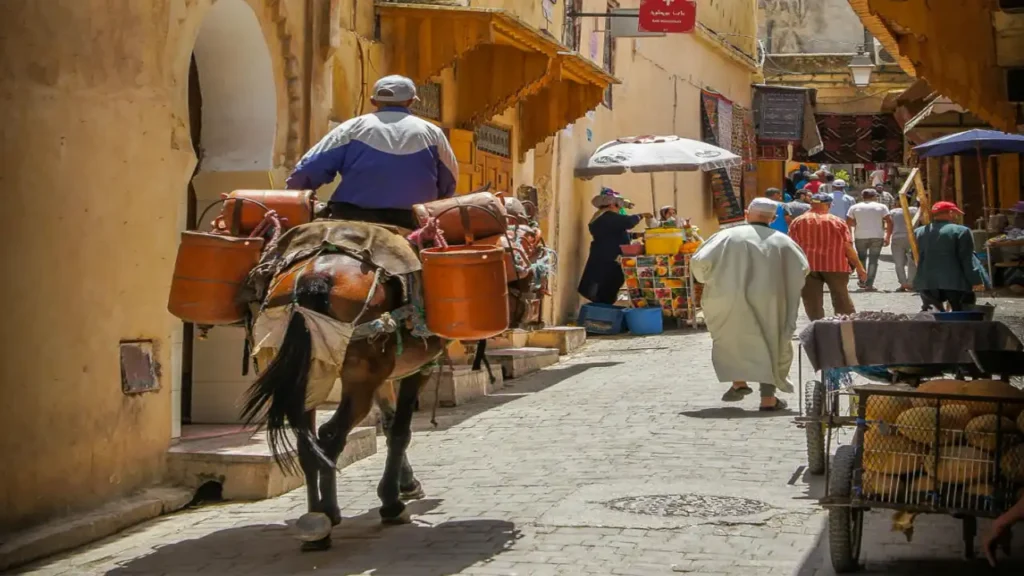 Streets Fes Medina